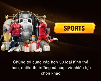 Cá cược thể thao playsin79